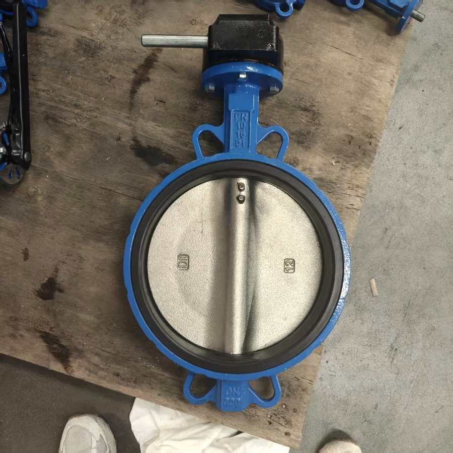 Wafer butterfly valve, uncoated body