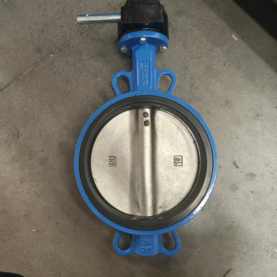 Wafer butterfly valve, disc detail